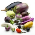 /album/aubergine/aubeigine-sorten1-jpg/